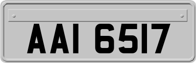 AAI6517