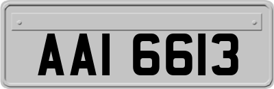 AAI6613