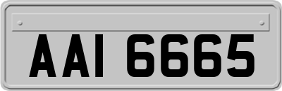 AAI6665