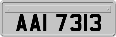 AAI7313