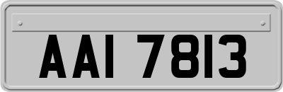 AAI7813