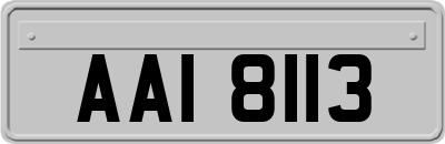 AAI8113