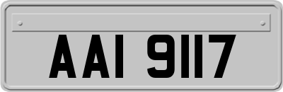 AAI9117