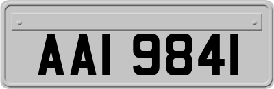 AAI9841