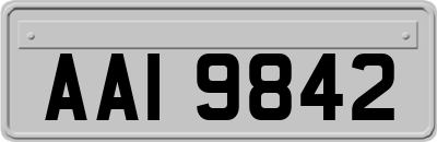 AAI9842