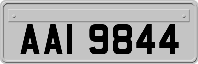 AAI9844