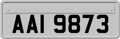 AAI9873