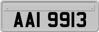 AAI9913