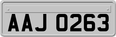 AAJ0263