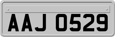 AAJ0529