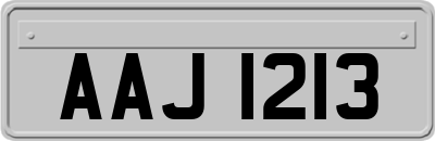 AAJ1213