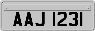 AAJ1231