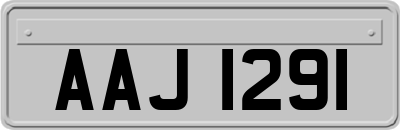 AAJ1291