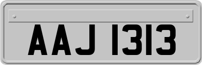 AAJ1313