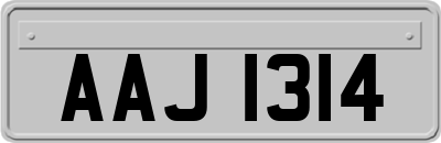 AAJ1314