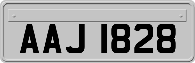 AAJ1828