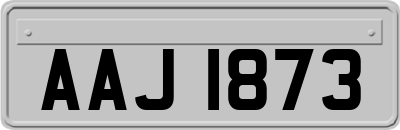 AAJ1873