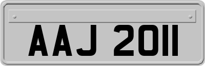 AAJ2011