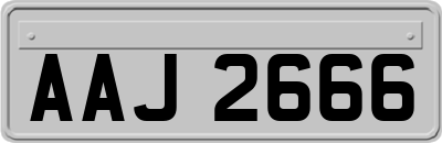 AAJ2666