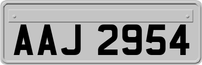 AAJ2954