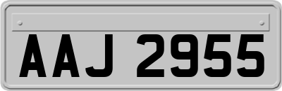 AAJ2955