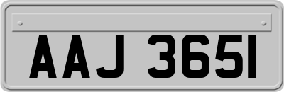 AAJ3651