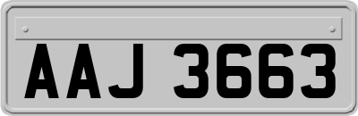 AAJ3663