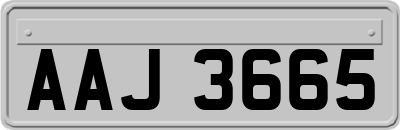 AAJ3665