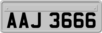 AAJ3666