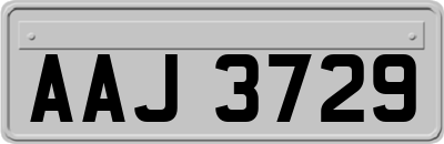 AAJ3729