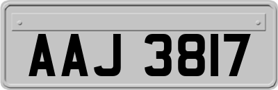 AAJ3817