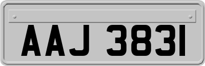 AAJ3831