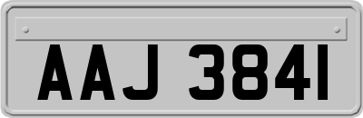 AAJ3841