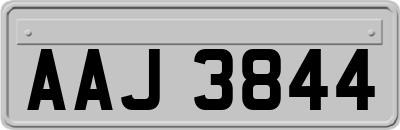 AAJ3844