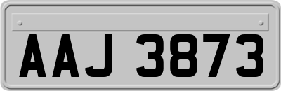 AAJ3873