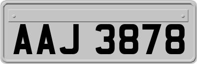 AAJ3878