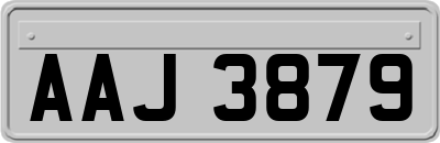 AAJ3879