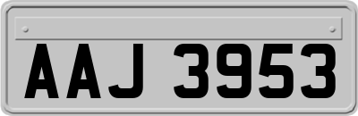 AAJ3953