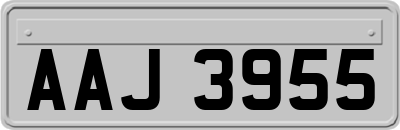 AAJ3955