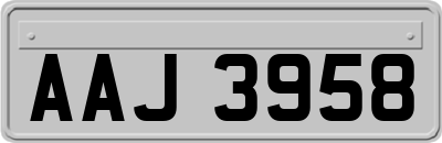 AAJ3958