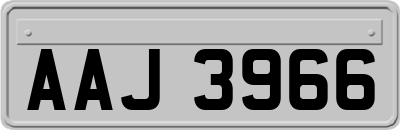 AAJ3966