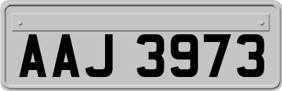 AAJ3973