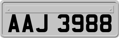 AAJ3988