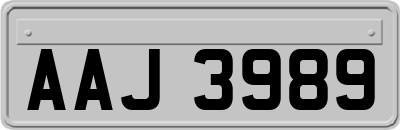 AAJ3989