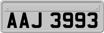 AAJ3993