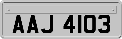 AAJ4103