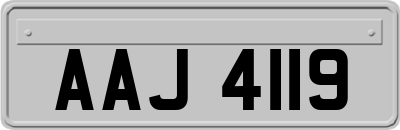 AAJ4119