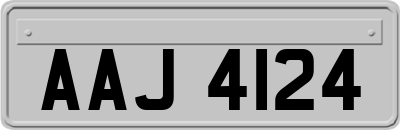 AAJ4124