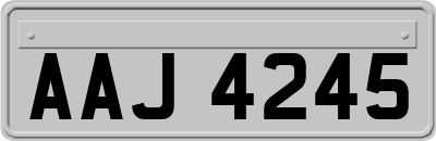 AAJ4245