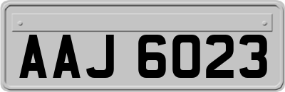 AAJ6023